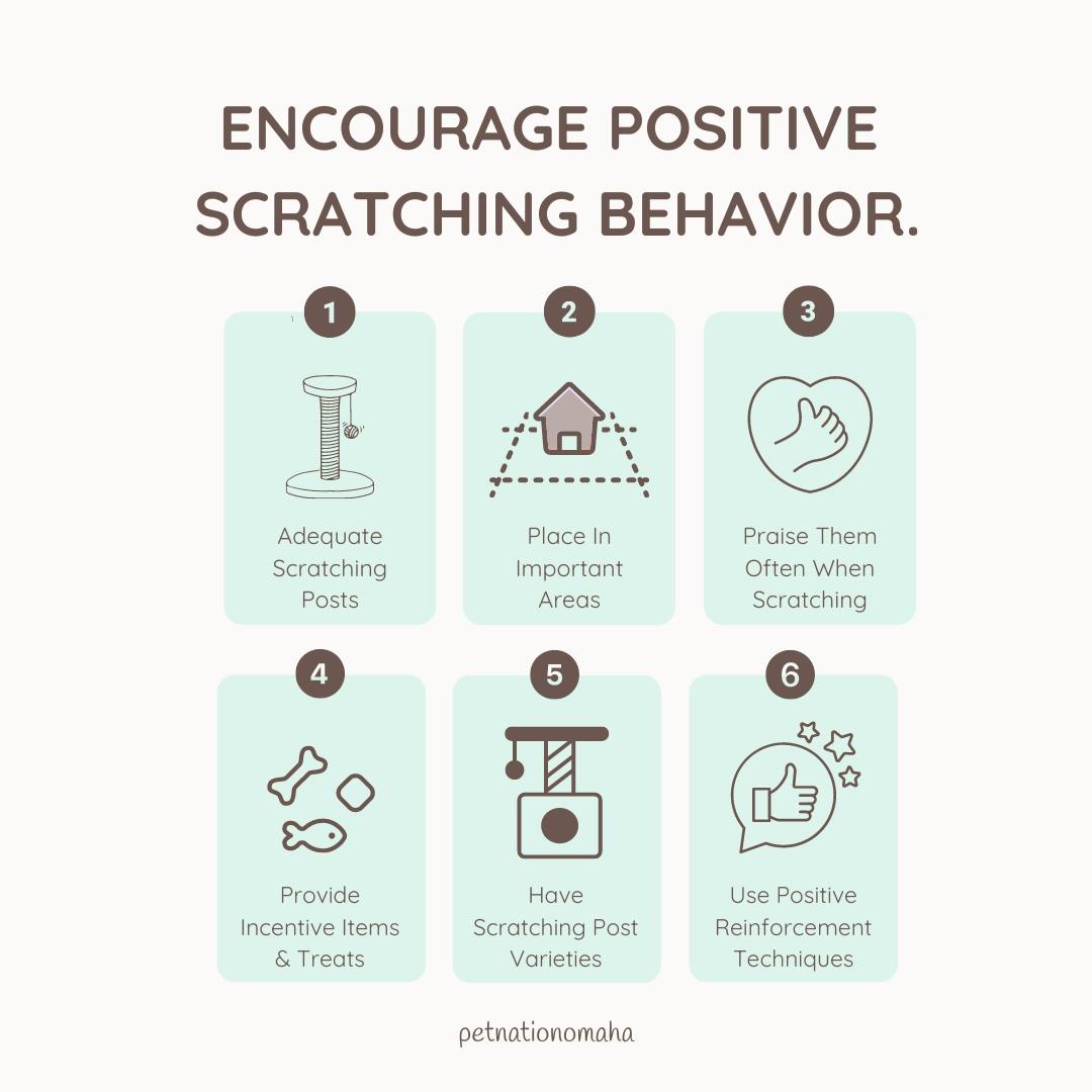 encourage positive scratching behavior