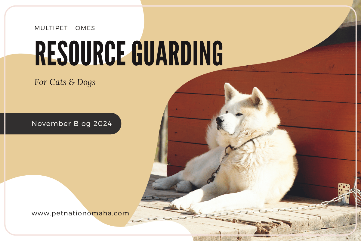 an image of a white dog in front of a red dog house with text title of "resource guarding"