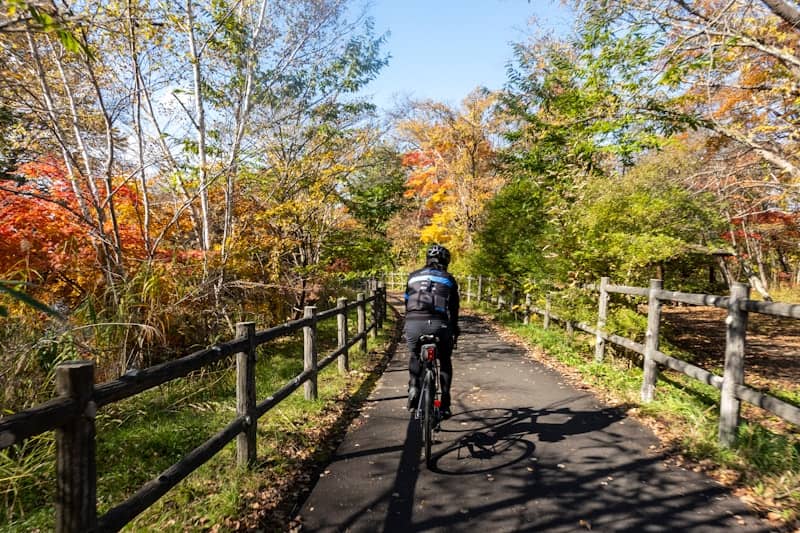 Cyclist on a path surrounded by autumn foliage