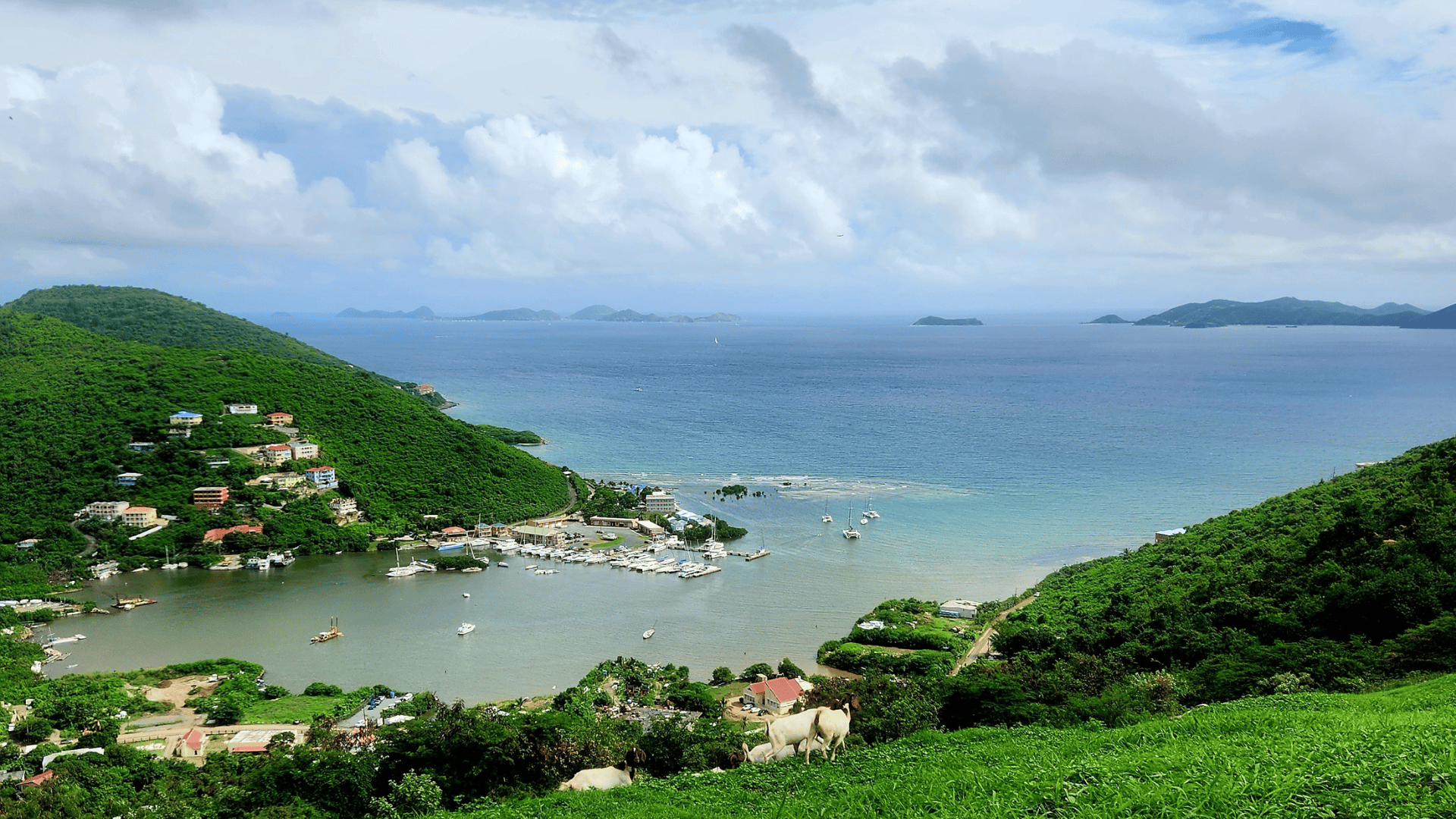 Took a hike on Tortola during one of our lunch breaks - Peter, Salt, and Cooper Islands visible in the background