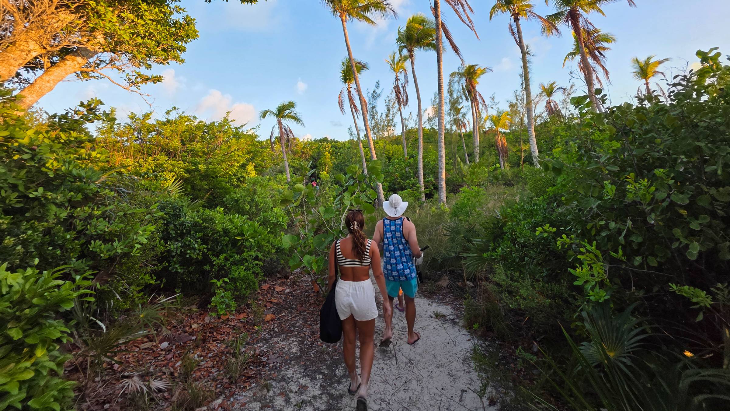 Walking through the vegetation of Rose Island
