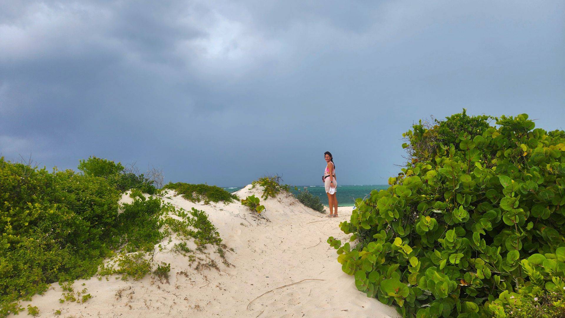 Spectacular pink sand beaches await