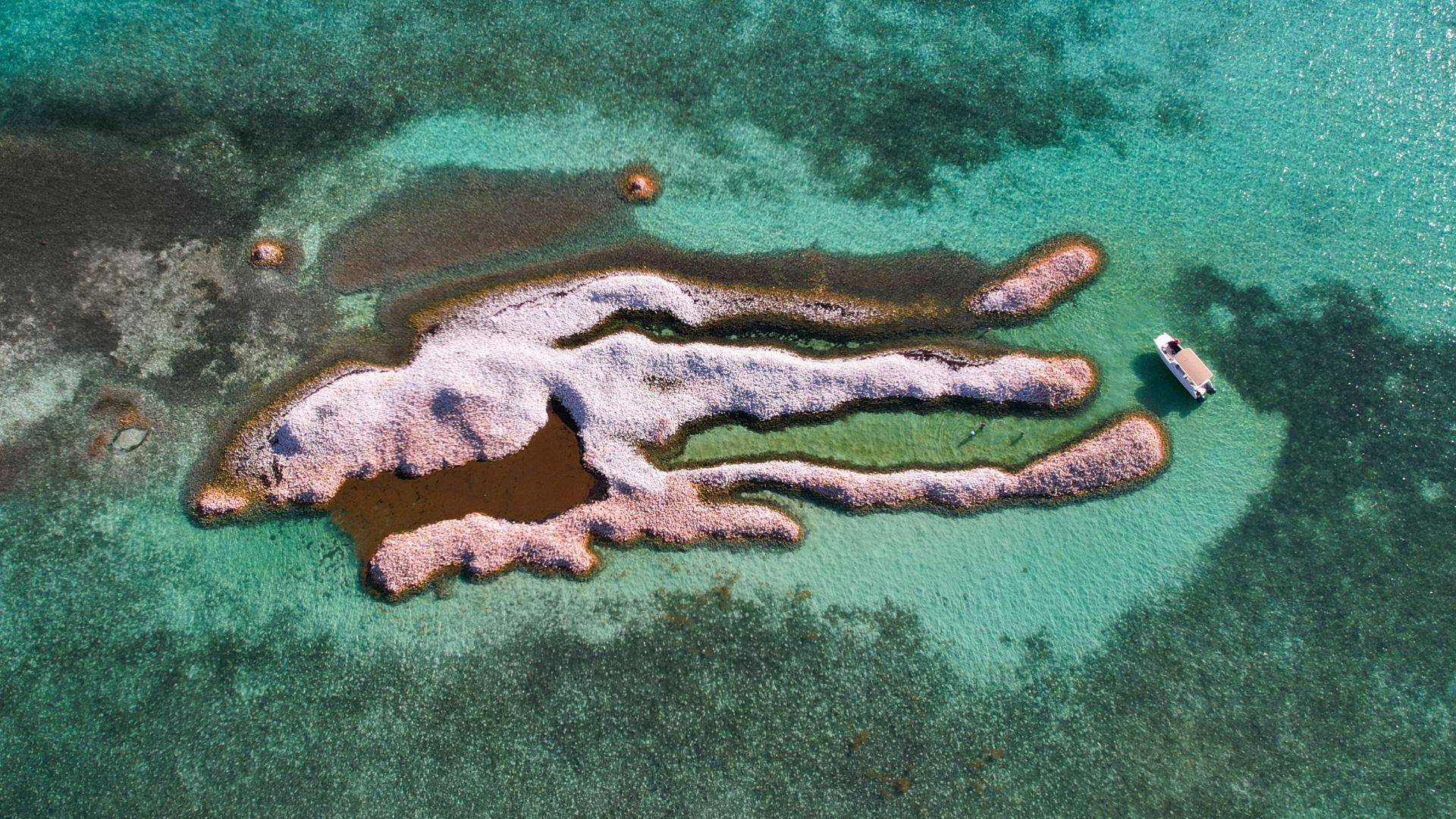Conch Island is a highlight of a Horseshoe Reef