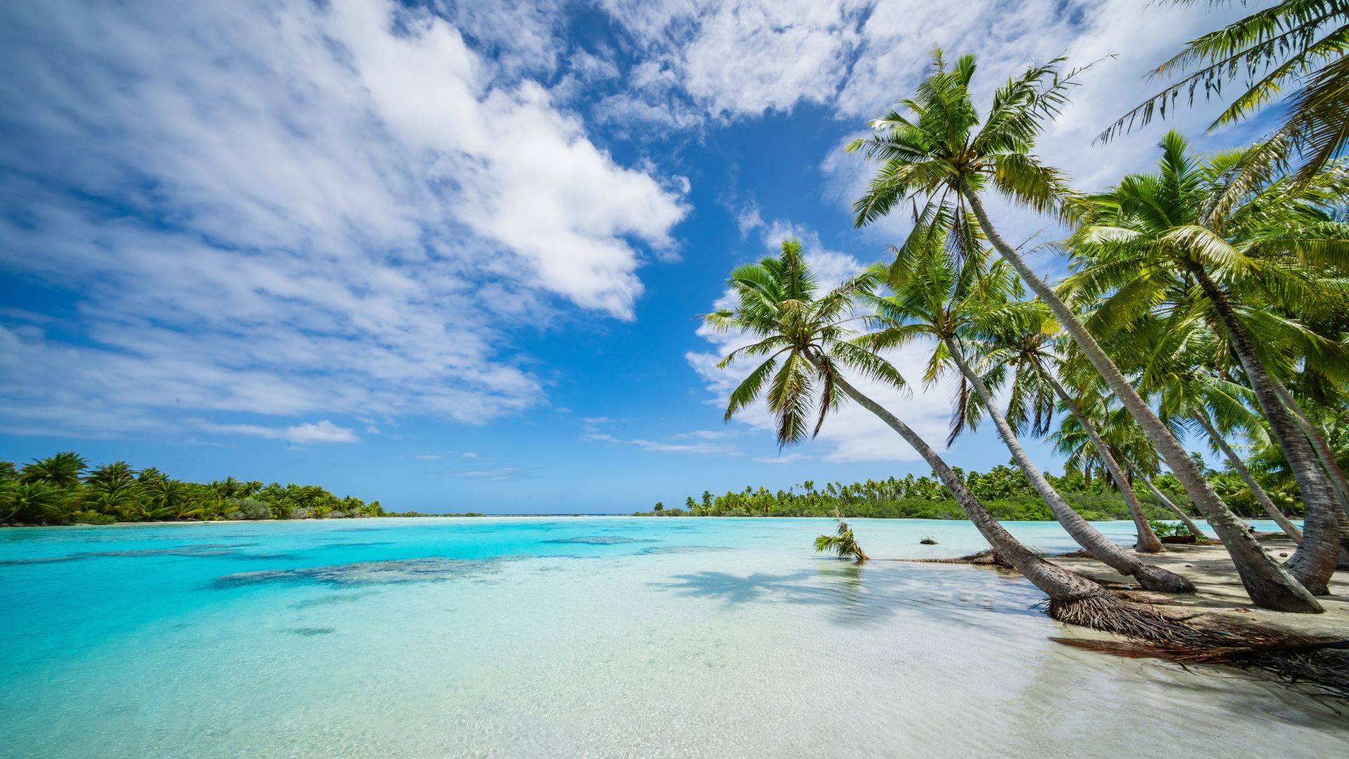 An idyllic beach setting in the Tuamotus, where Purpose will be this fall