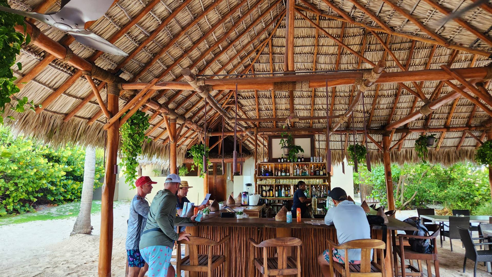 Pro tip: the bar at the Anegada Beach Club makes a great Bushwacker