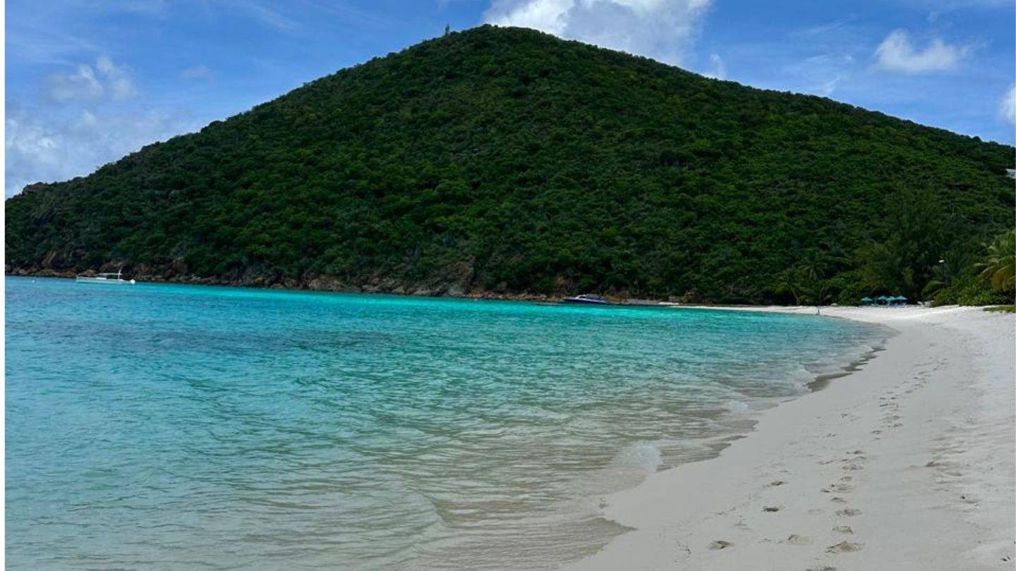 Guana Island, one of my favorite beaches, in photos and in person.