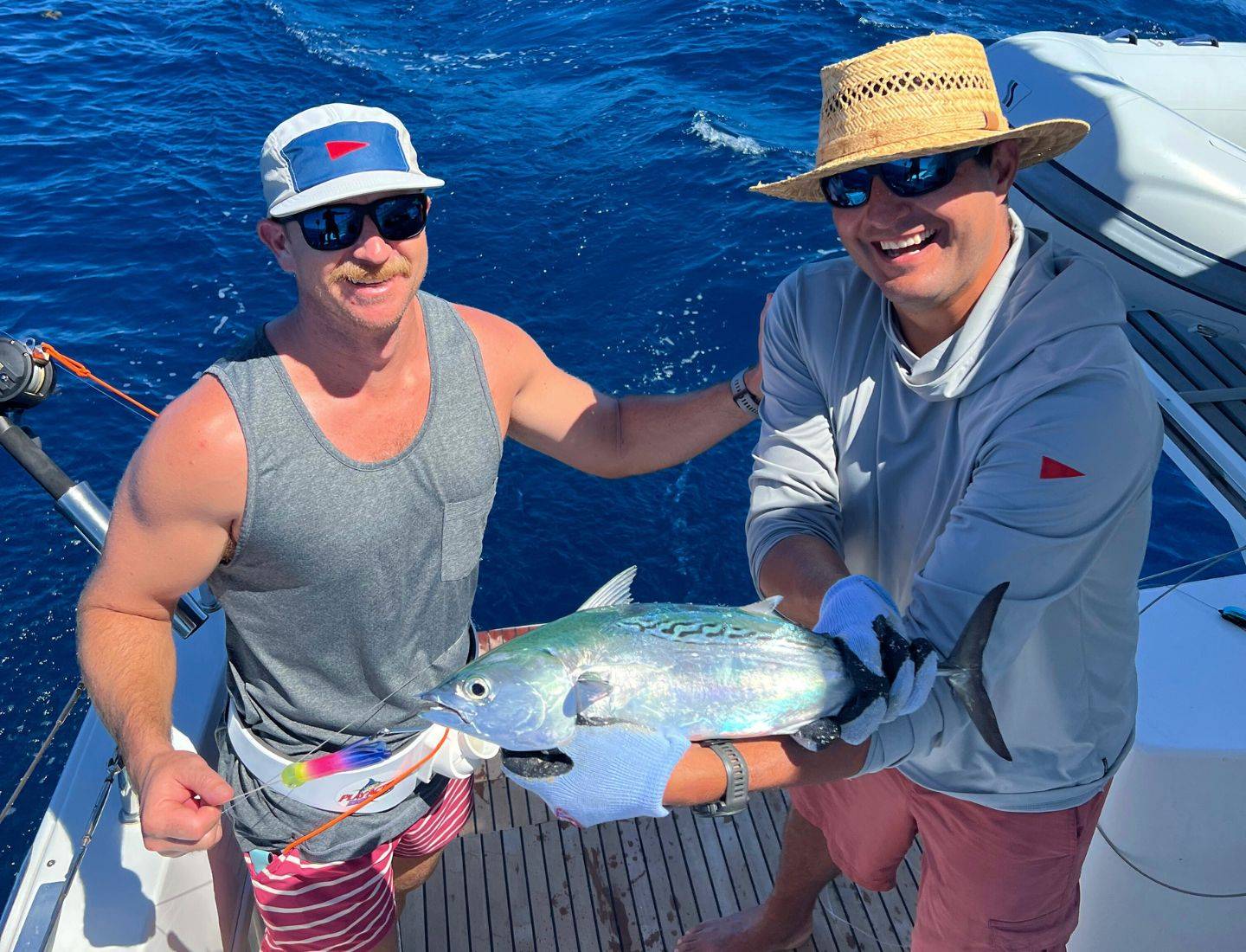 Little tunny we caught trolling between Anegada and Jost Van Dyke in October 2024