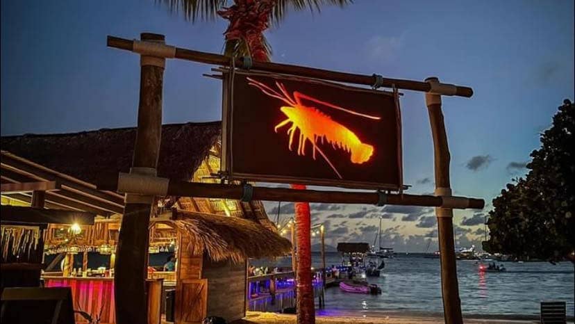 Anegada lobster on the beach is a famous BVI tradition