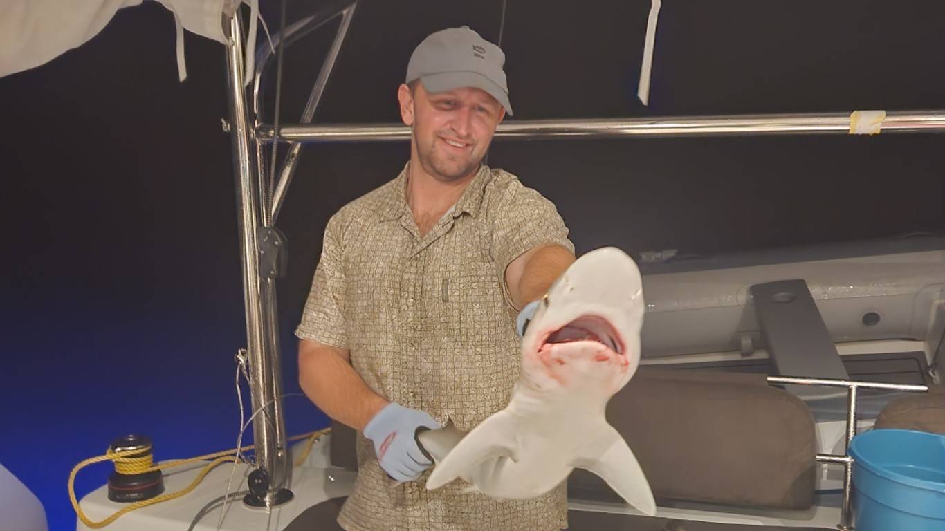 Juvenile shark that we caught while anchored at Flamenco Beach.