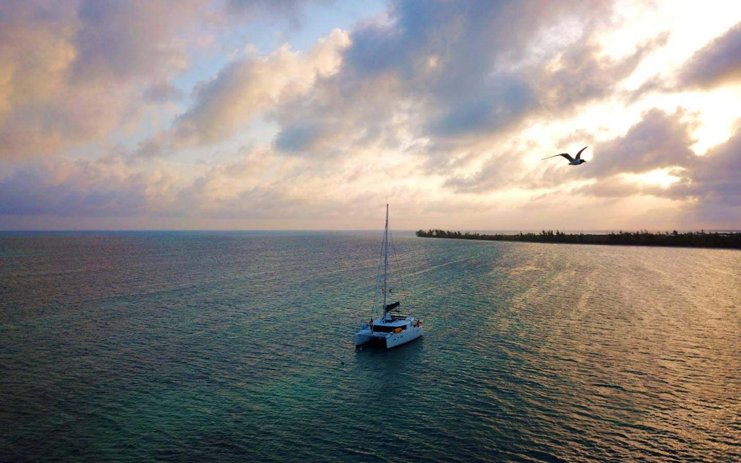 Setting Point Anegada 