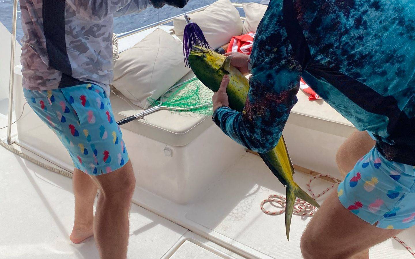 Mahi we caught trolling on the south drop in the Virgin Islands.