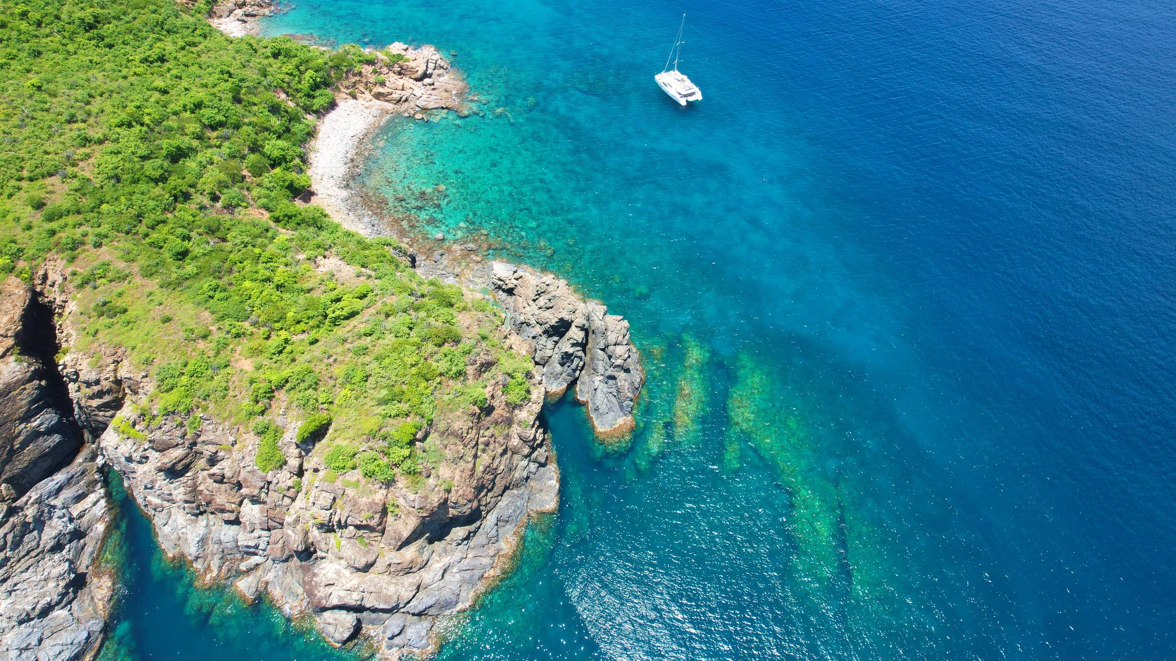 Snorkeling at George Dog