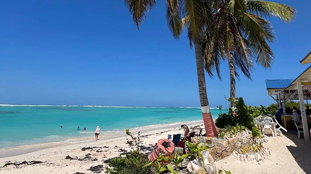 One highlight was exploring Anegada's pristine north shore beaches
