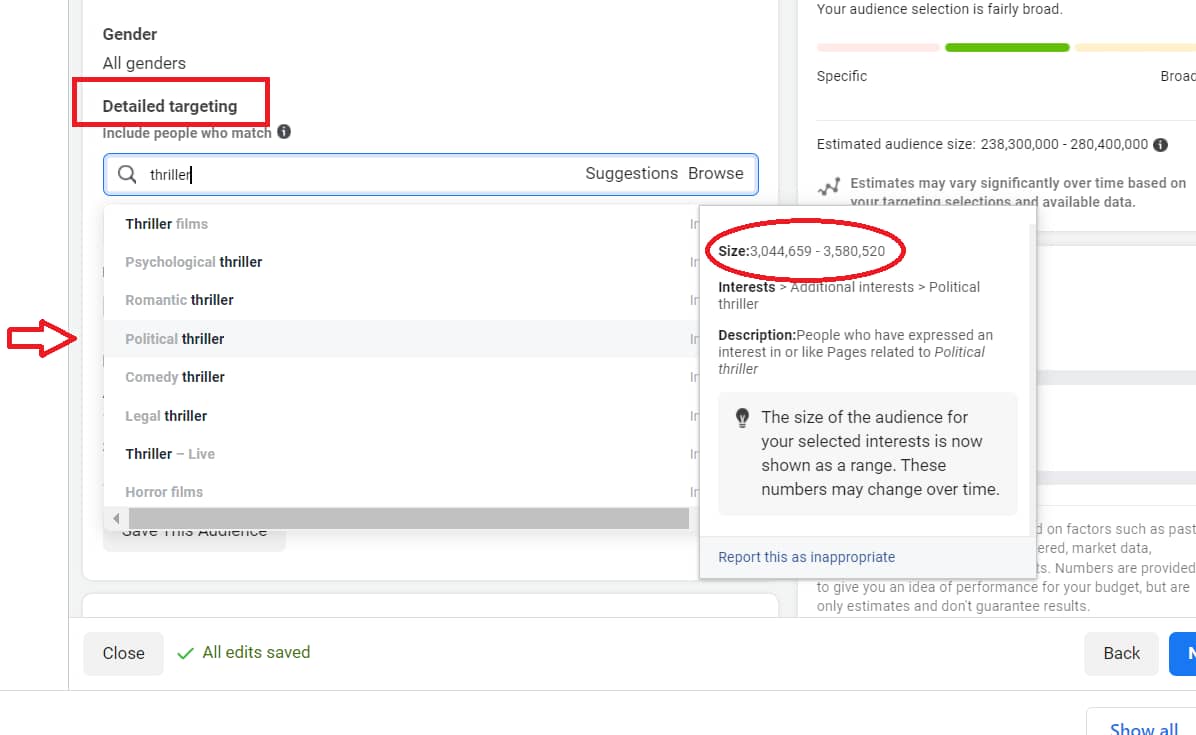 Facebook Ad Set creation 3