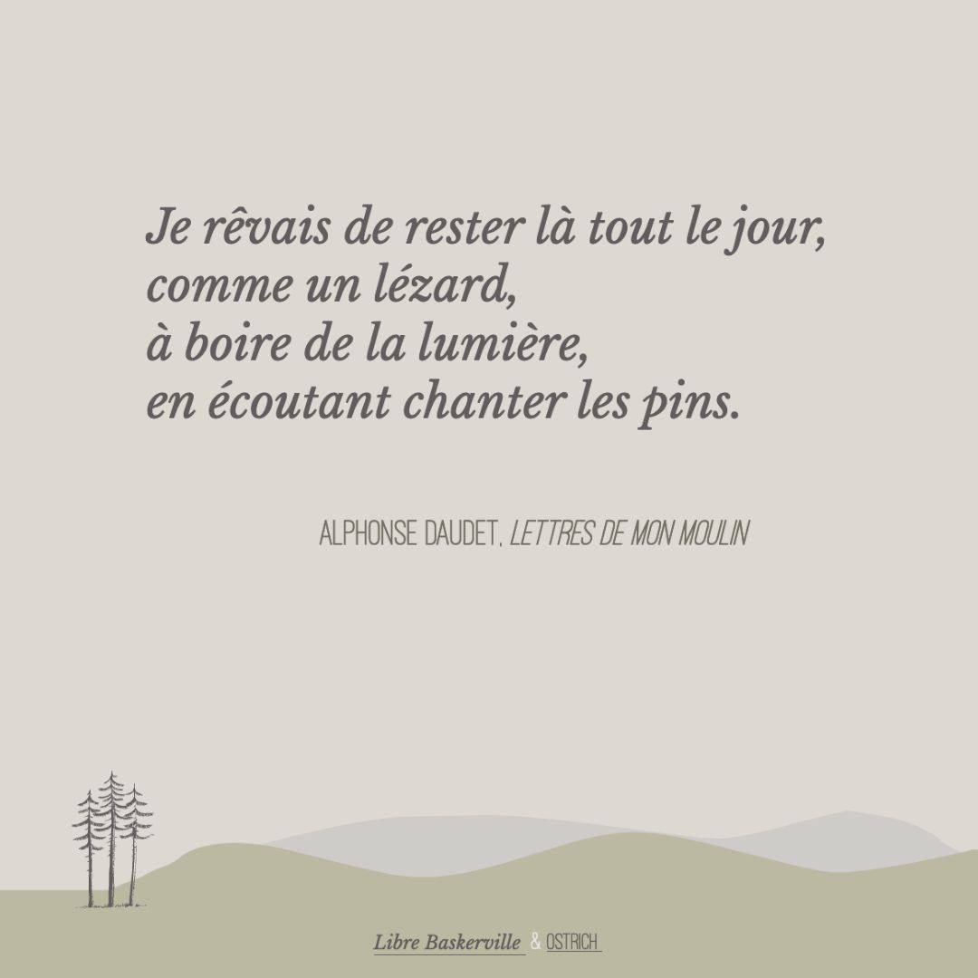 « Je rêvais de rester là tout le jour, comme un lézard, à boire de la lumière, en écoutant chanter les pins. » Alphonse Daudet in Lettres de mon moulin.⠀
⠀
Composé en Libre Baskerville & Ostrich.