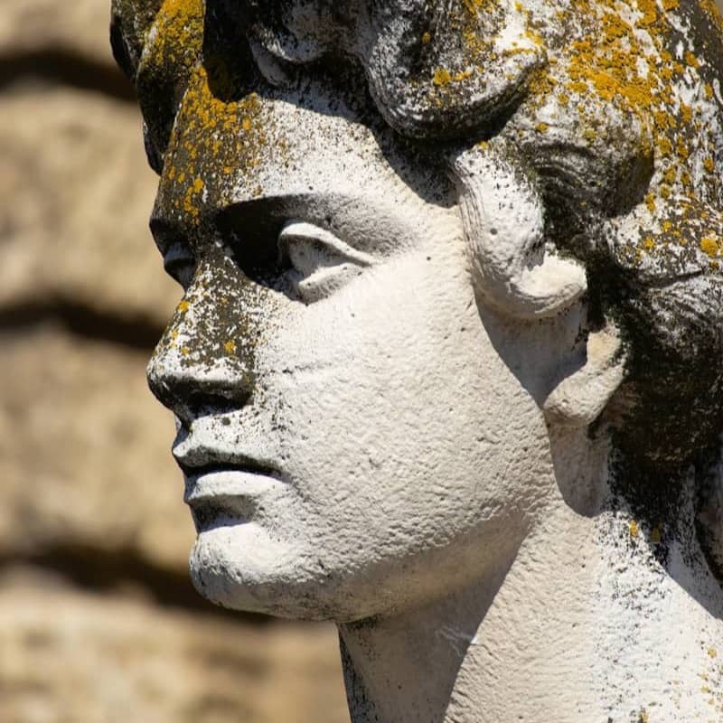 A weathered statue shows a portrait in profile.