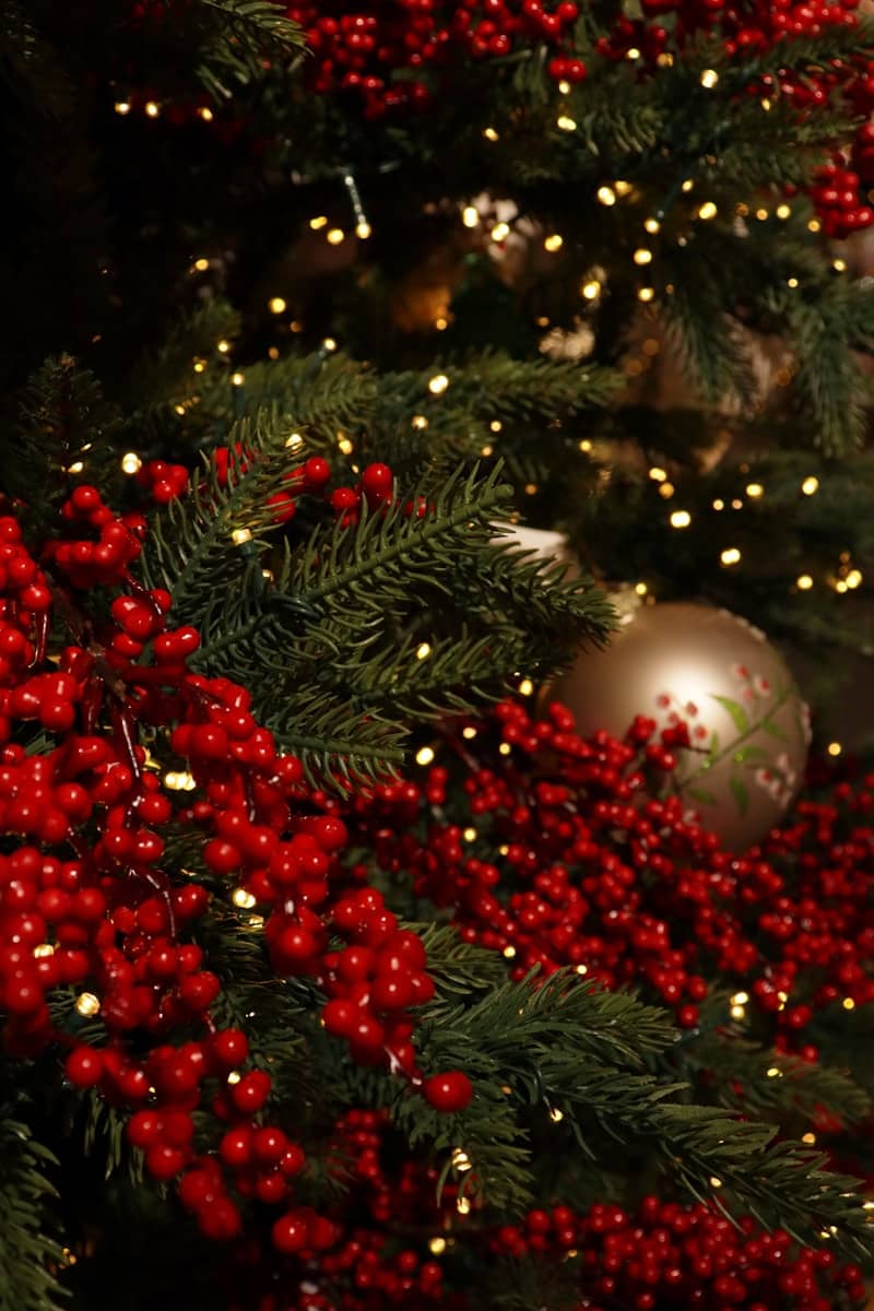 Close-up of a christmas tree with red berries and lights.