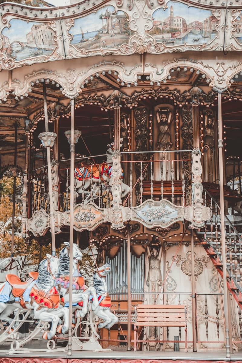 white and brown carousel with people on it