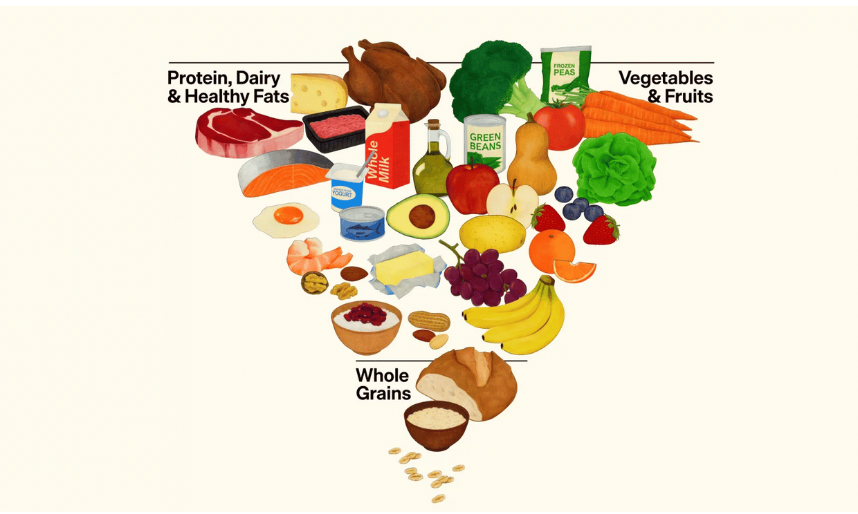 The New 2025-2030 DGA Food Guide Pyramid