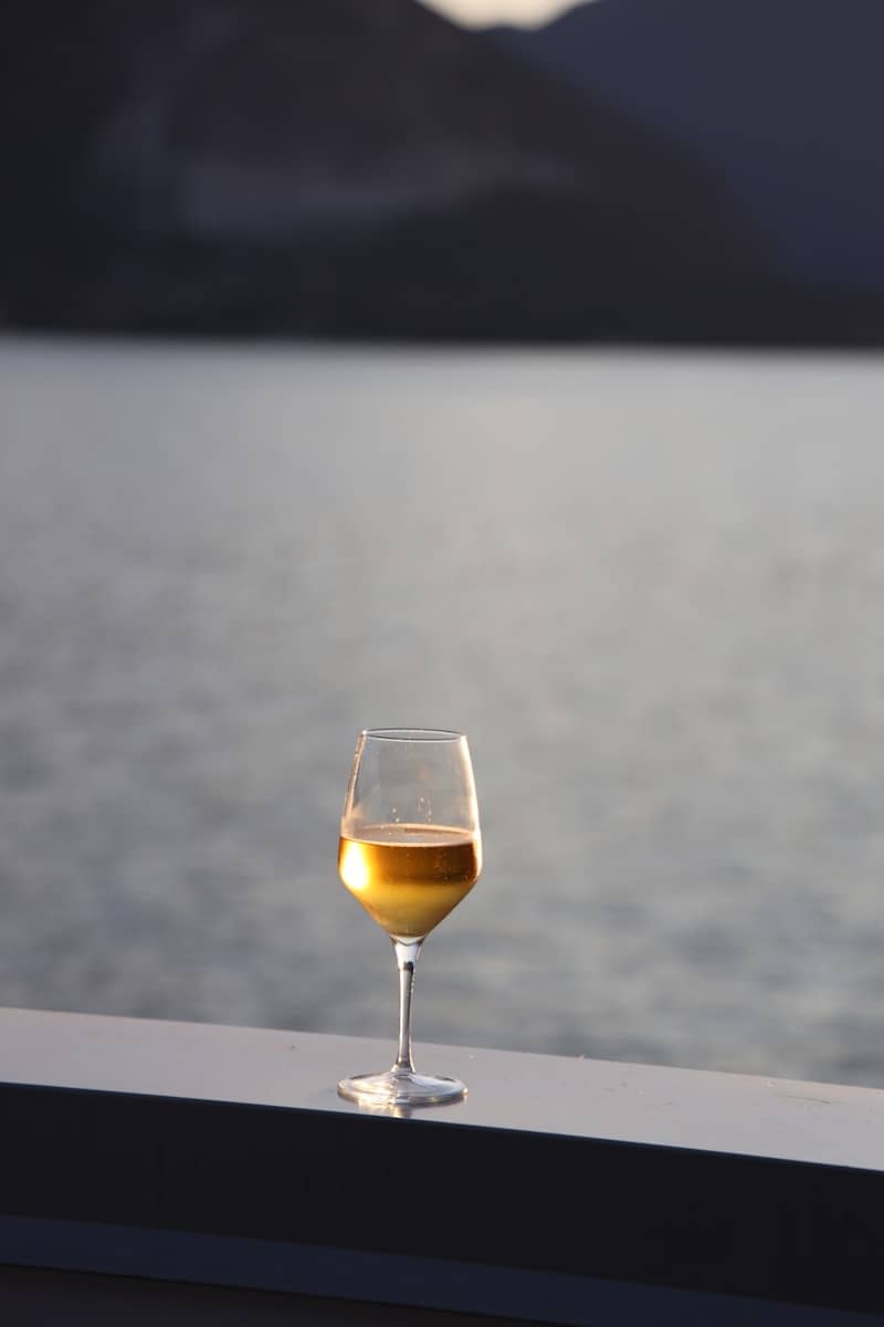 Wineglass sits overlooking a scenic lake view.