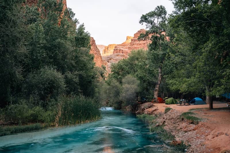 A vibrant blue river flows through a canyon with trees.