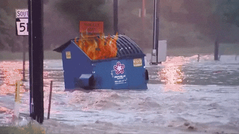 classic dumpster fire in a river pic