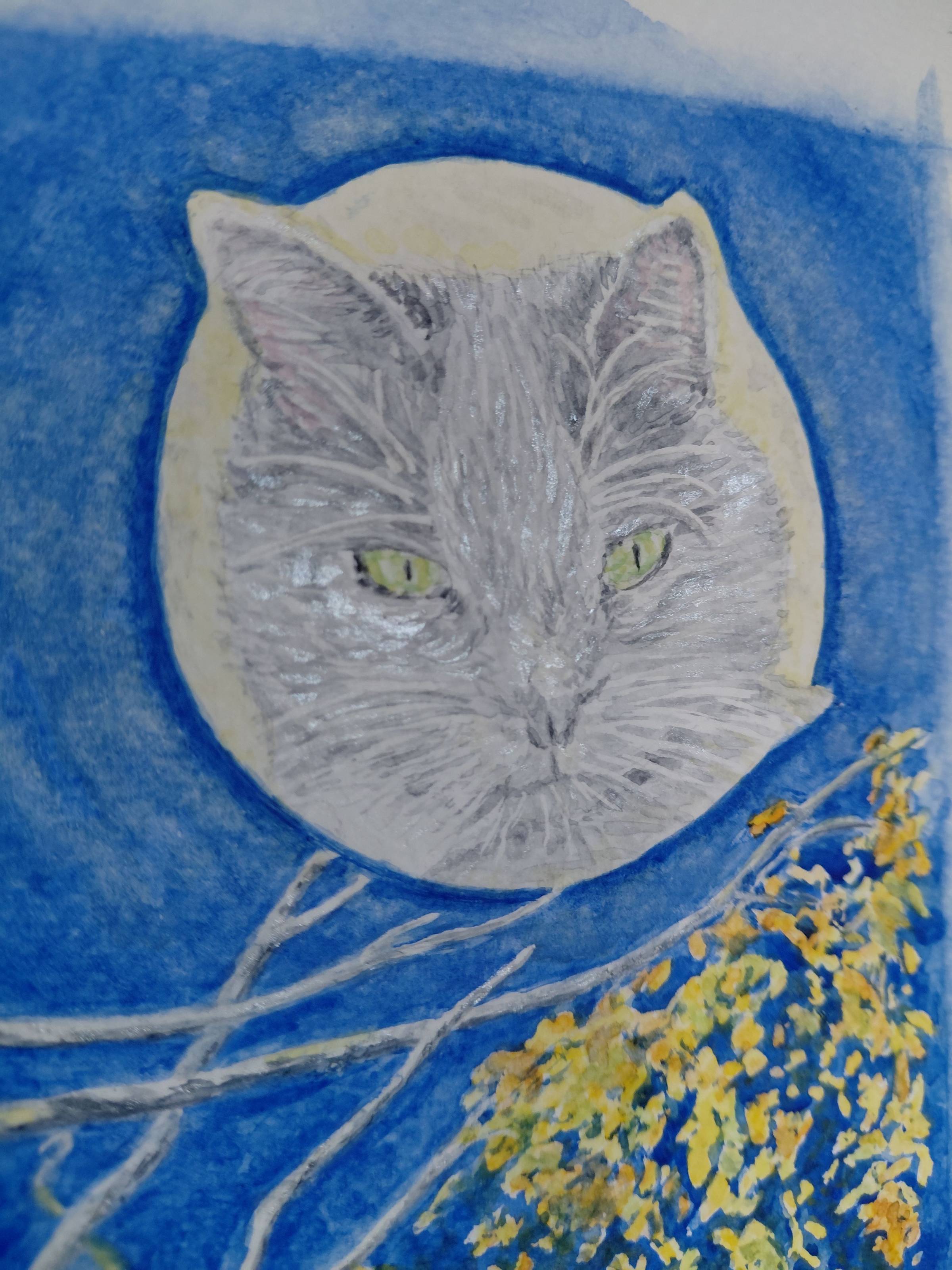 watercolour close up of Merlin cat 