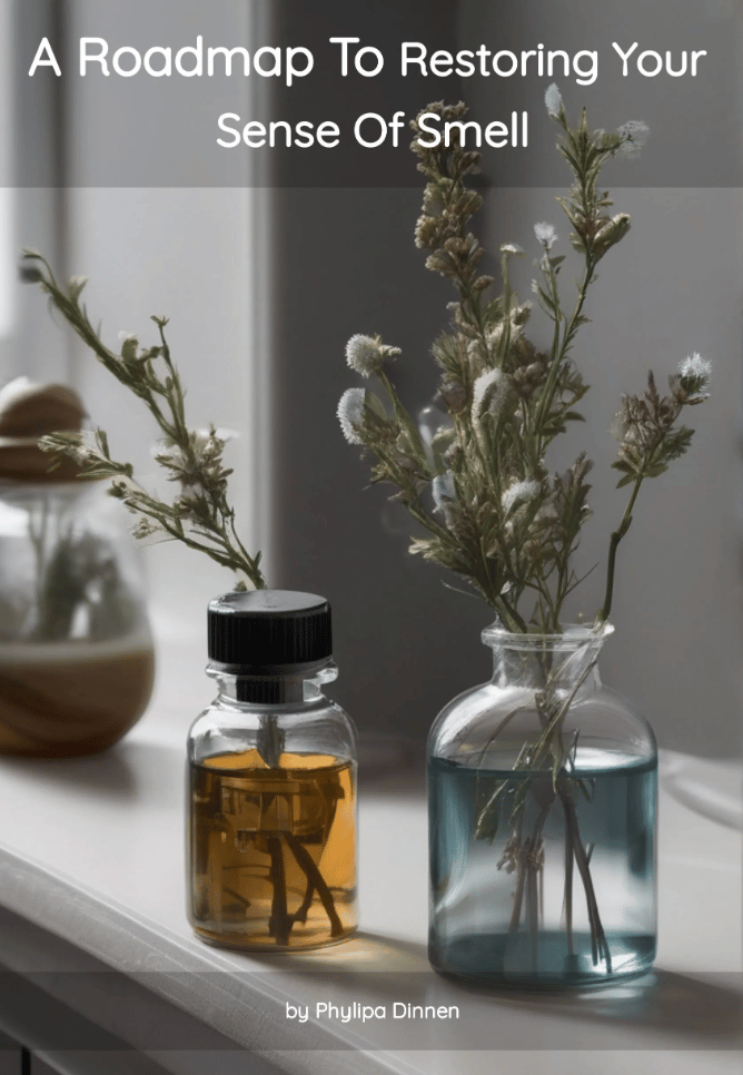 A Roadmap To Restoring Your Sense Of Smell