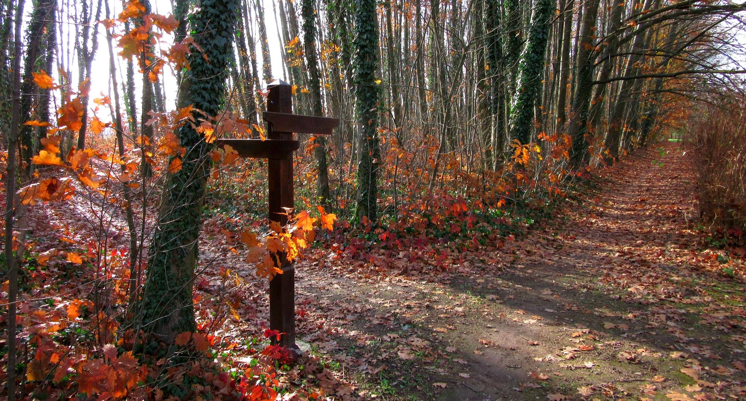 An autumn woodland at twilight, where narrow dirt paths meet beneath golden and crimson trees. Fallen leaves scatter across the crossroads, and a soft mist hangs between the trunks. One path curves into shadow while another catches the last warm light—a q