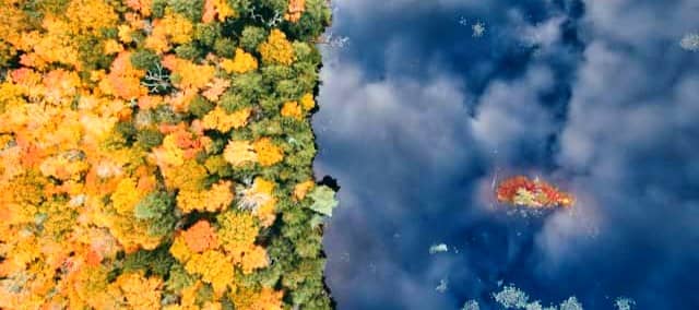 The Yin and Yang of Autumn: How Tarot Helps Us Explore Deeper Questions