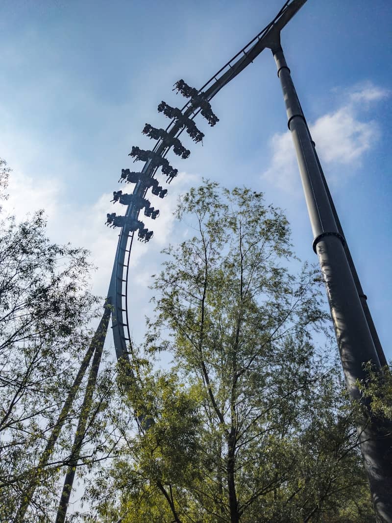a roller coaster in the middle of a park