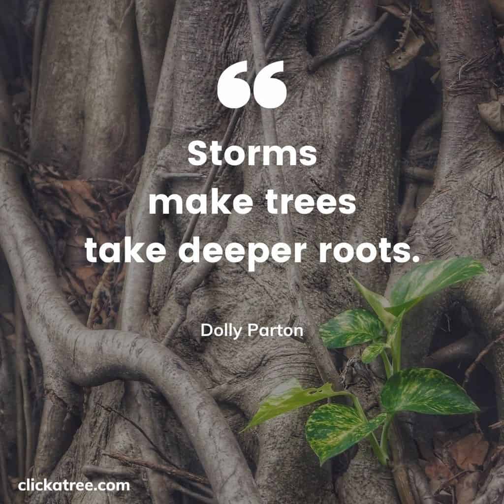 Storms make trees take deeper roots - Dolly Parton