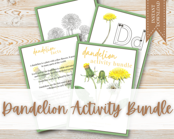 Dandelion Activity Bundle