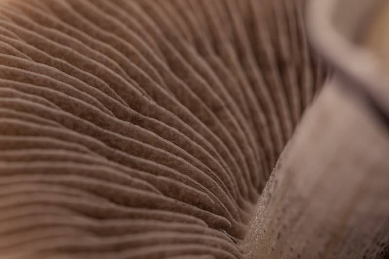 white textile in close up photography