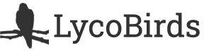 LycoBirds Logo