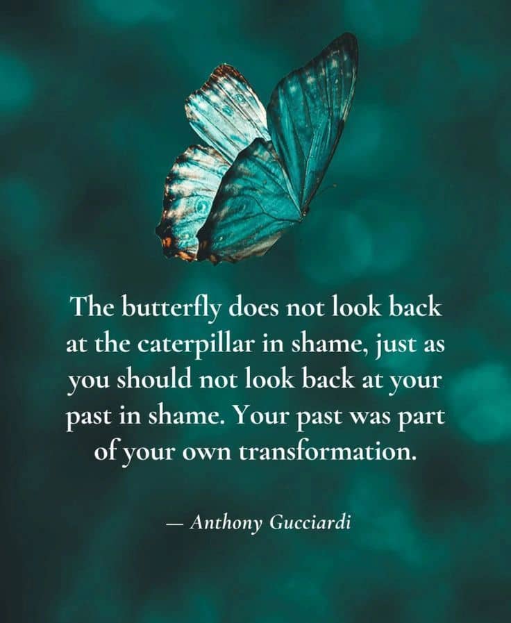 Transformational learnings from the butterfly