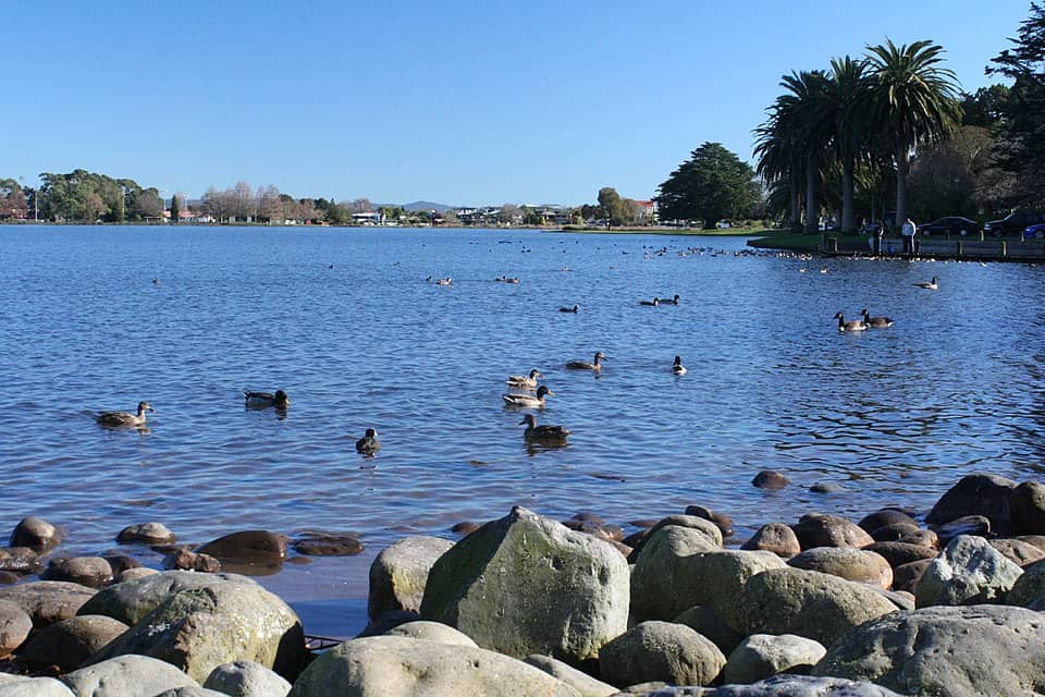 Lake Rotoroa, Hamilton, NZ - peaceful place