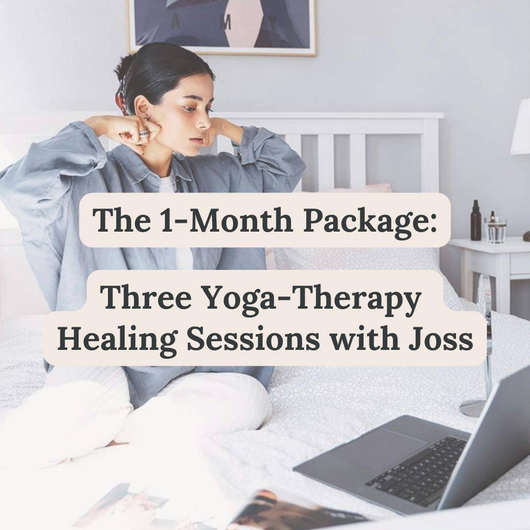 1:1 Yoga Therapy Package [3 sessions total]