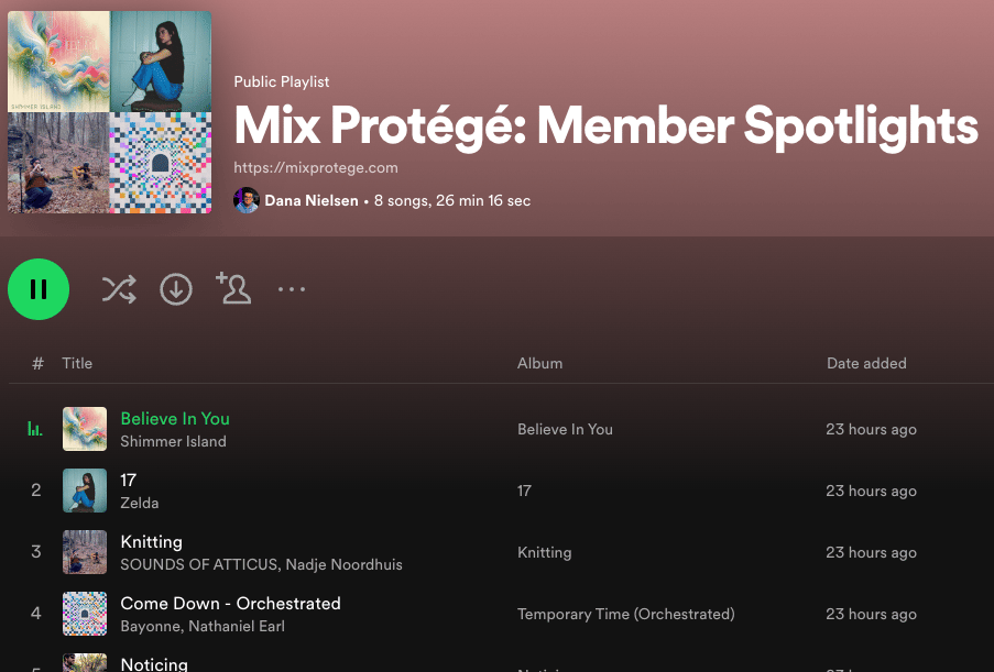 Spotify playlist screenshot