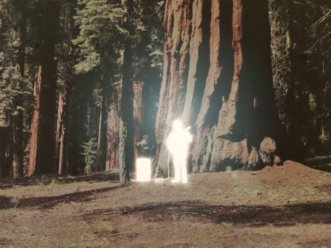Album art detail for Nathaniel Earl’s “happy”: glowing figure beside a giant redwood in a forest