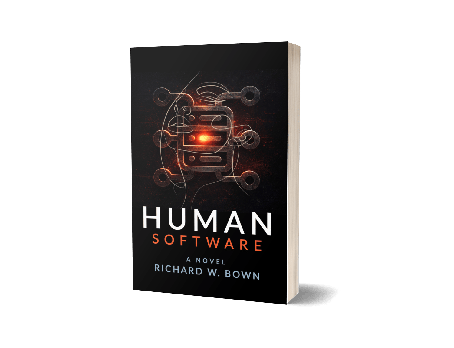 The Human Engineer 291 - New Beginnings