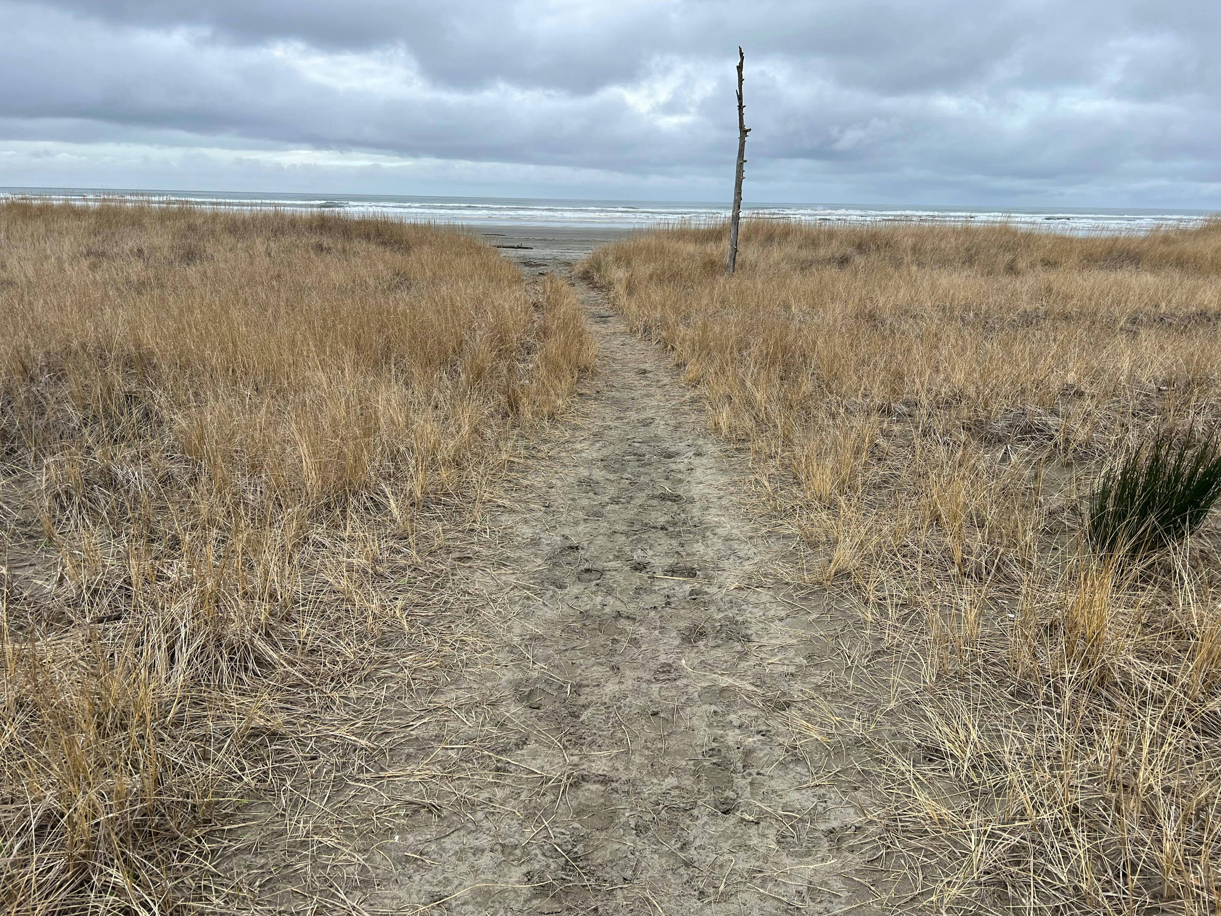 Photo of sandy path leading to the Pacific Ocean