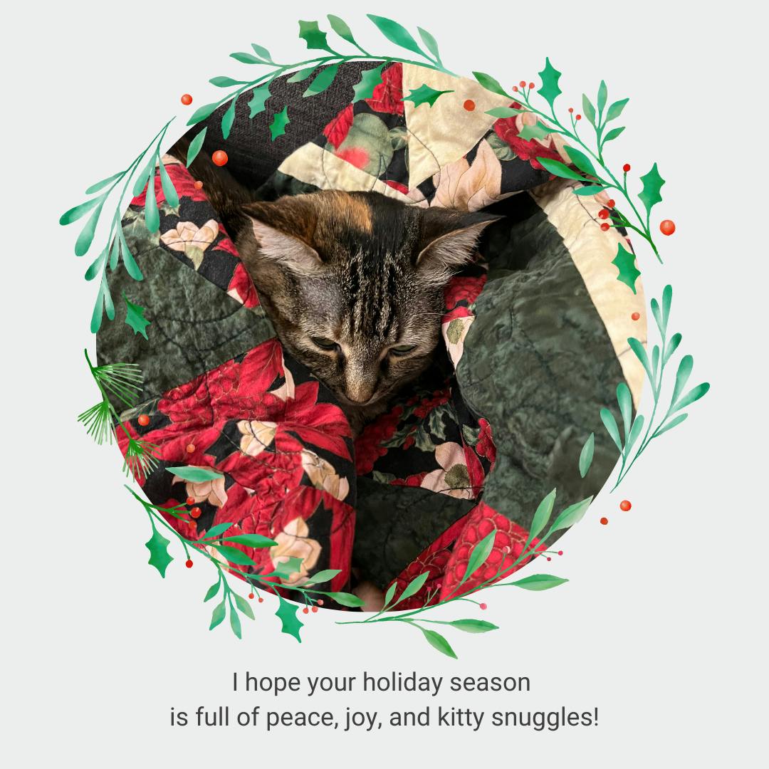 I hope your holiday season is full of peace, joy, and kitty snuggles!