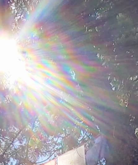 sunlight rainbow coloured rays filtering through trees