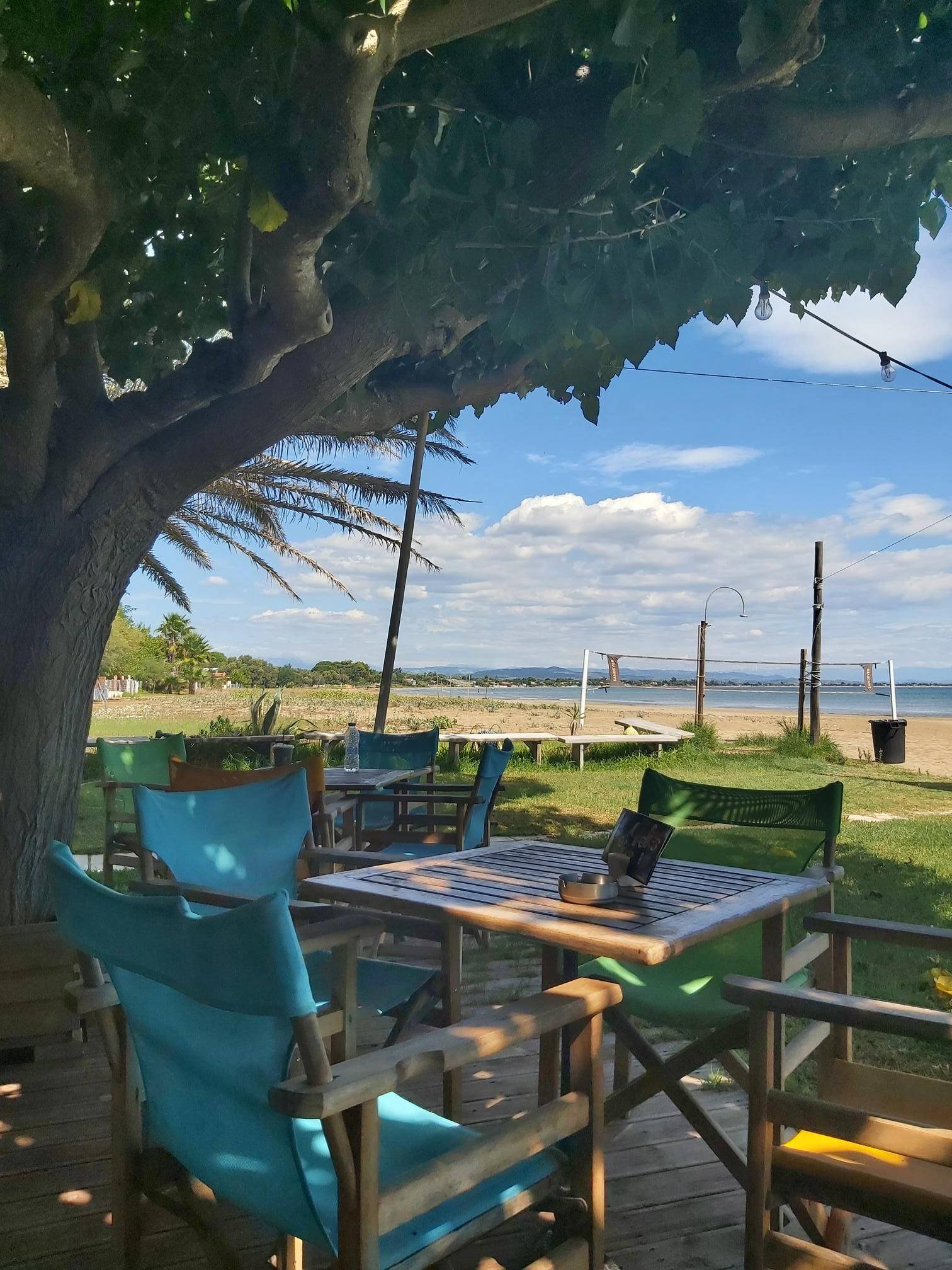 table and chairs uder a tree next to a beach