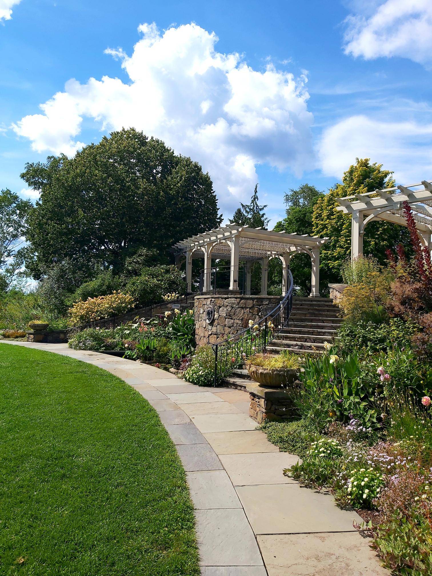 a curving path through a botanic garden
