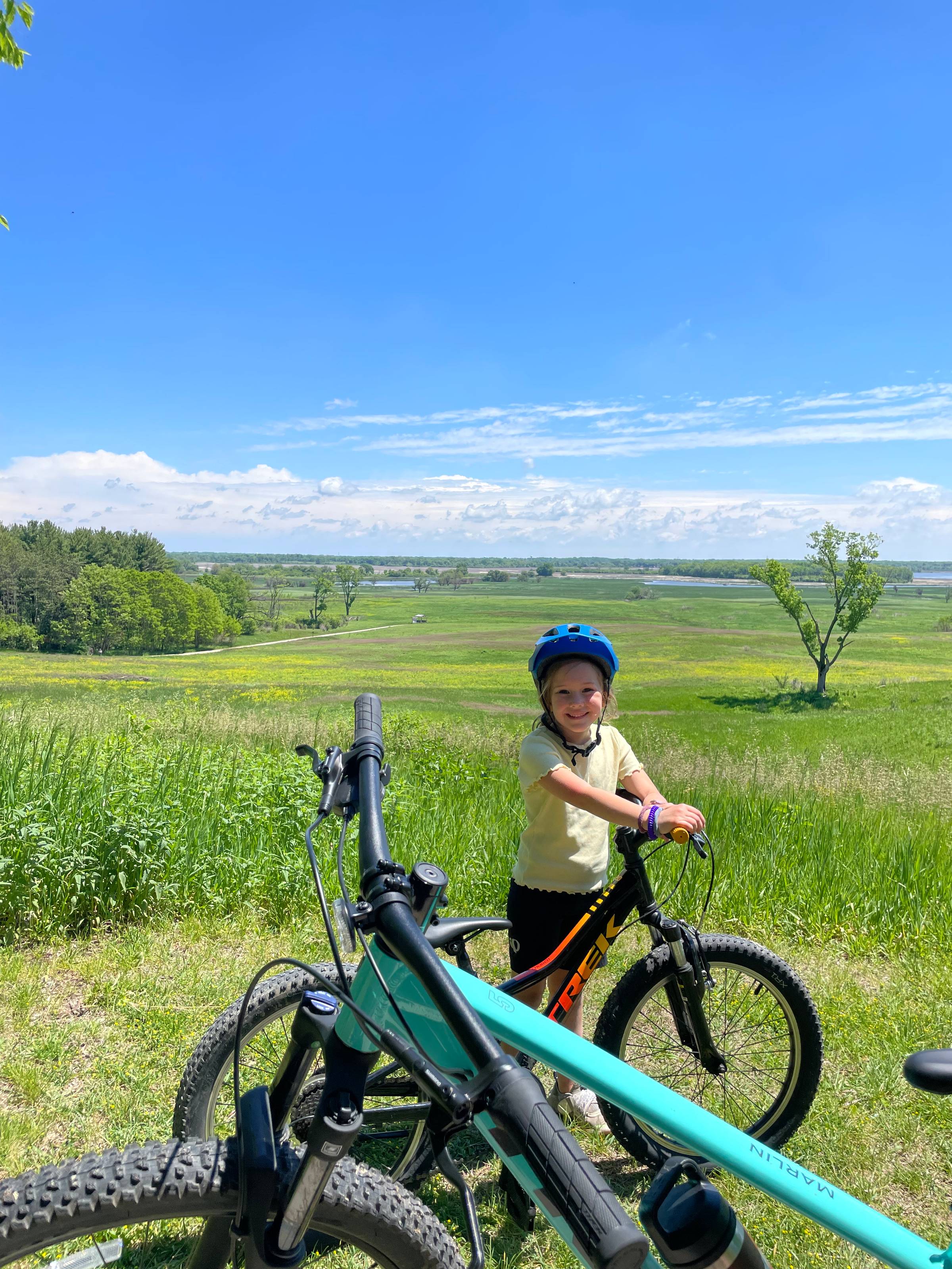 June Around the Spinney