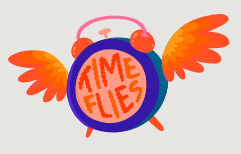 time flies