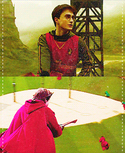 world cup quiddich goals