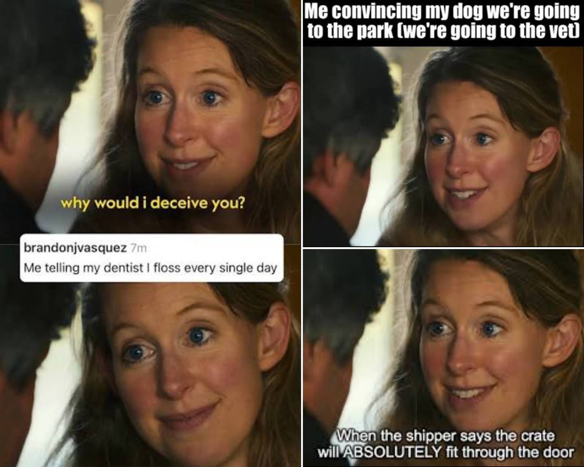 A collage of three memes featuring a smiling woman saying, “Why would I deceive you?” The memes read: “Me telling my dentist I floss every single day,” “Me convincing my dog we’re going to the park (we’re going to the vet),” and “When the shipper says the crate will ABSOLUTELY fit through the door.”